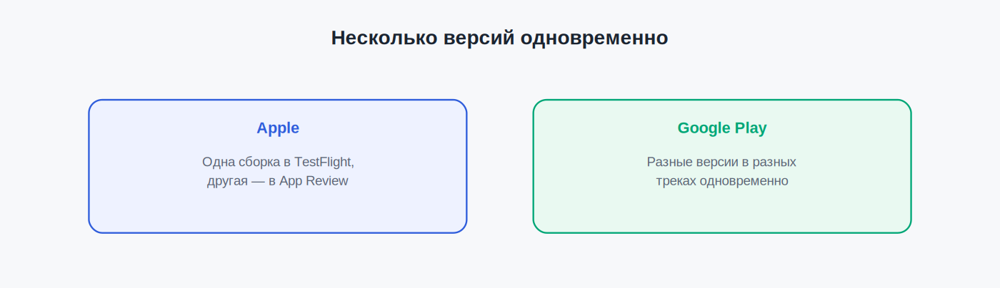 Multiple versions in parallel